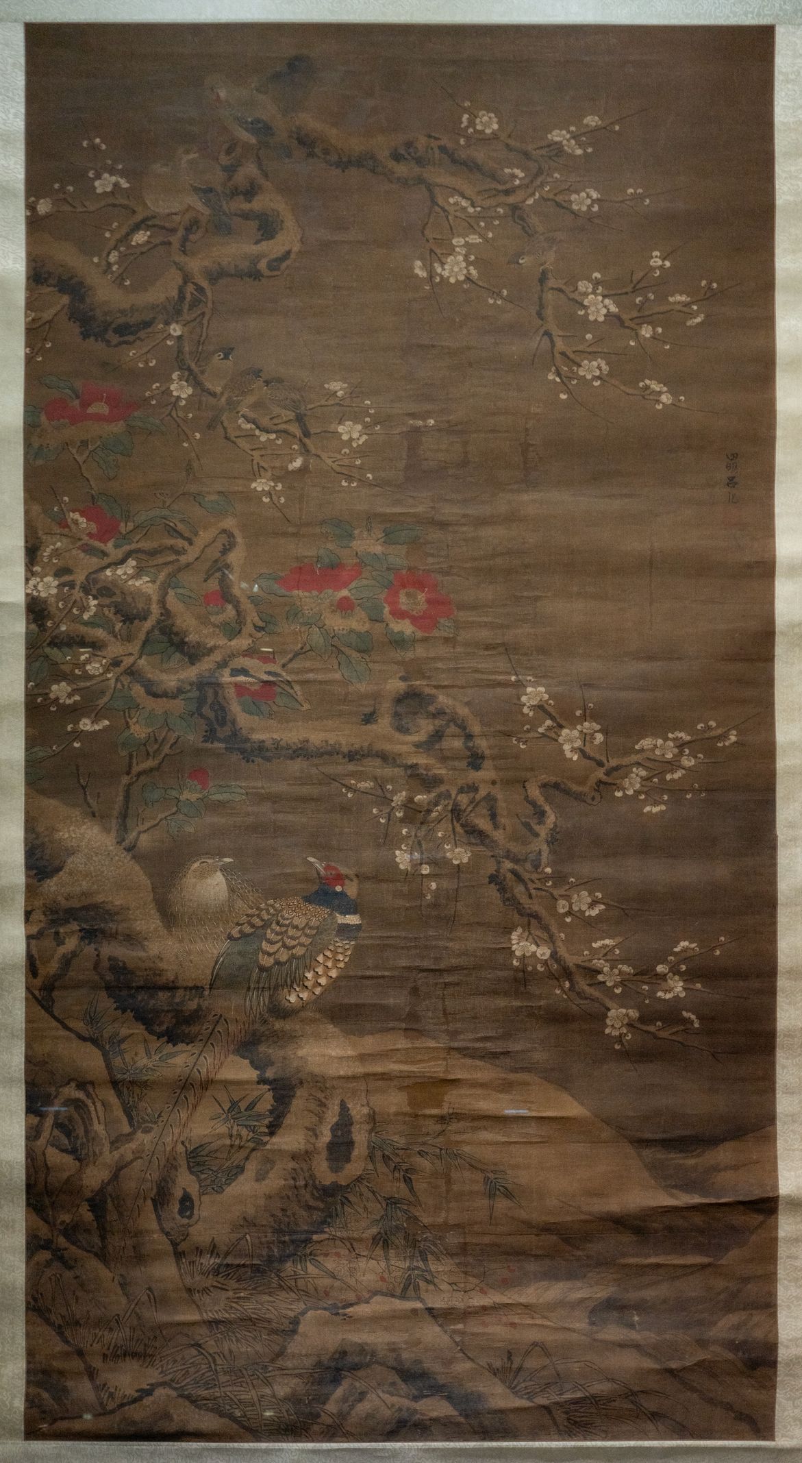 锦鸡山茶图缩略图