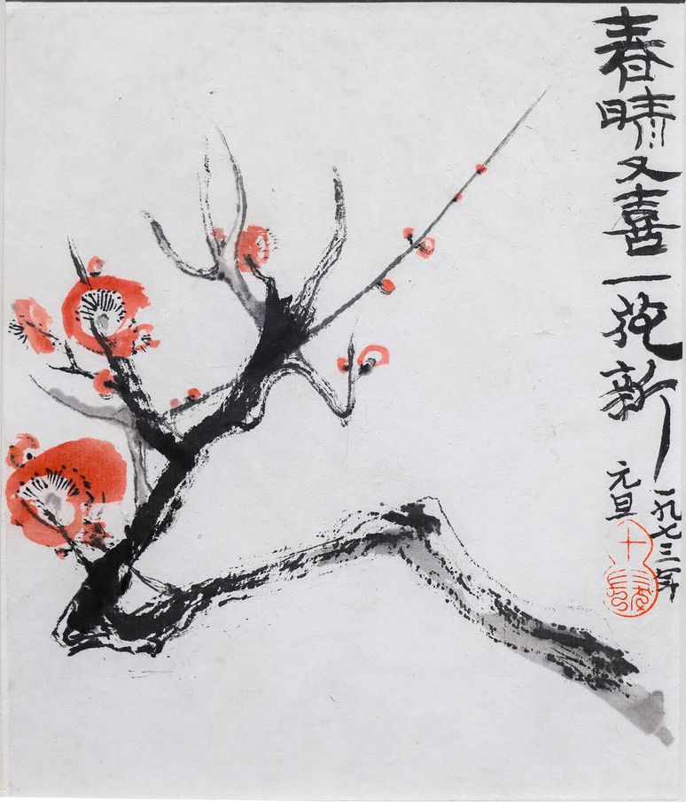 春晴又喜一花新预览图