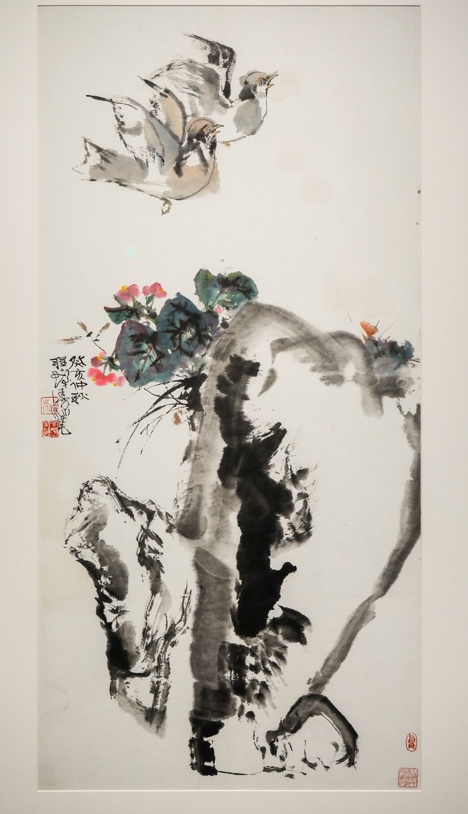 鸽子花石缩略图