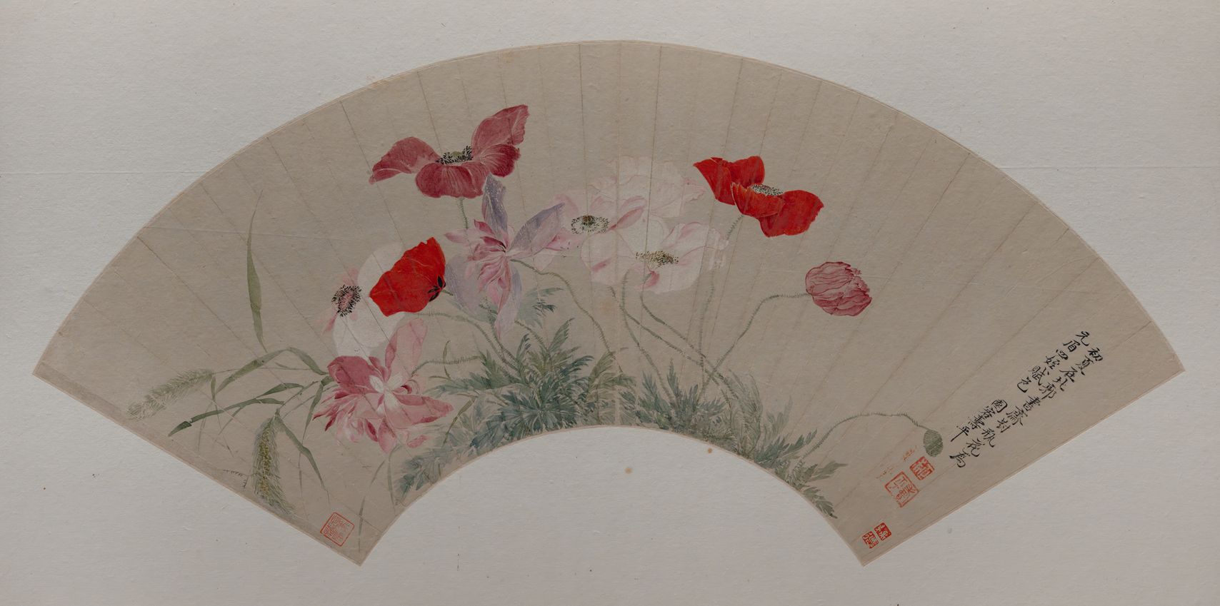 虞美人图缩略图
