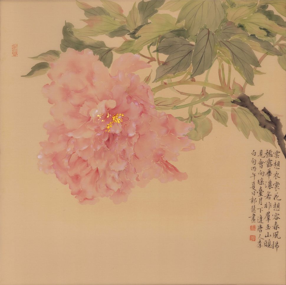 霓裳牡丹缩略图