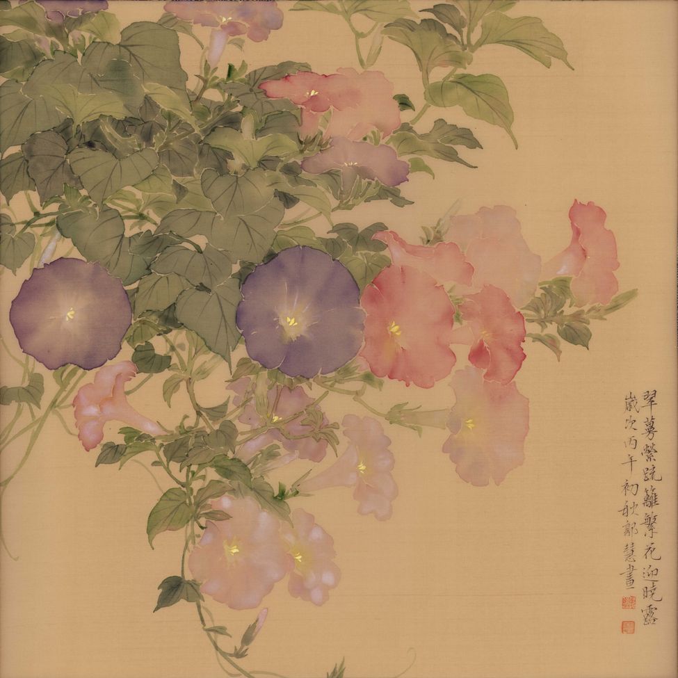 牵牛迎晓露缩略图