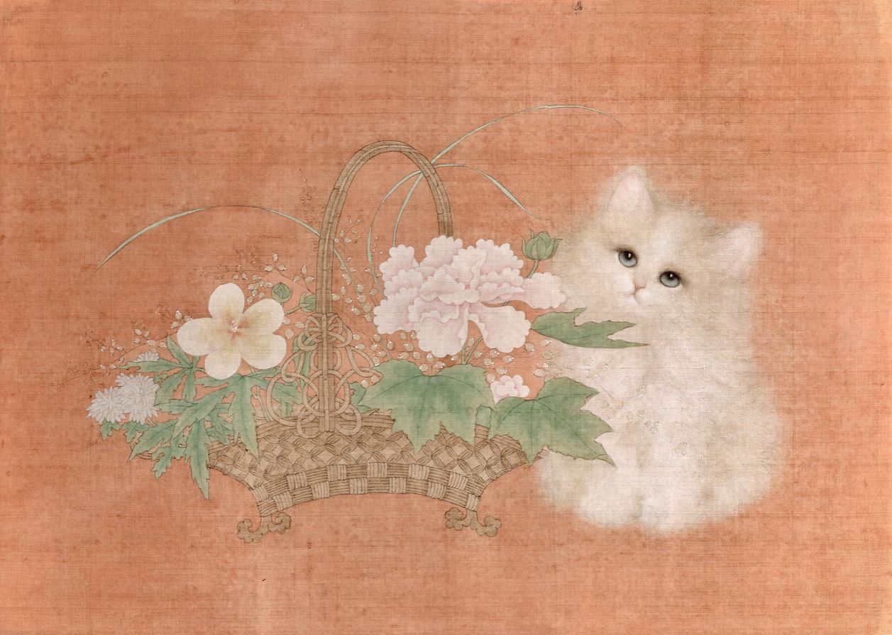 花与猫之杏缩略图