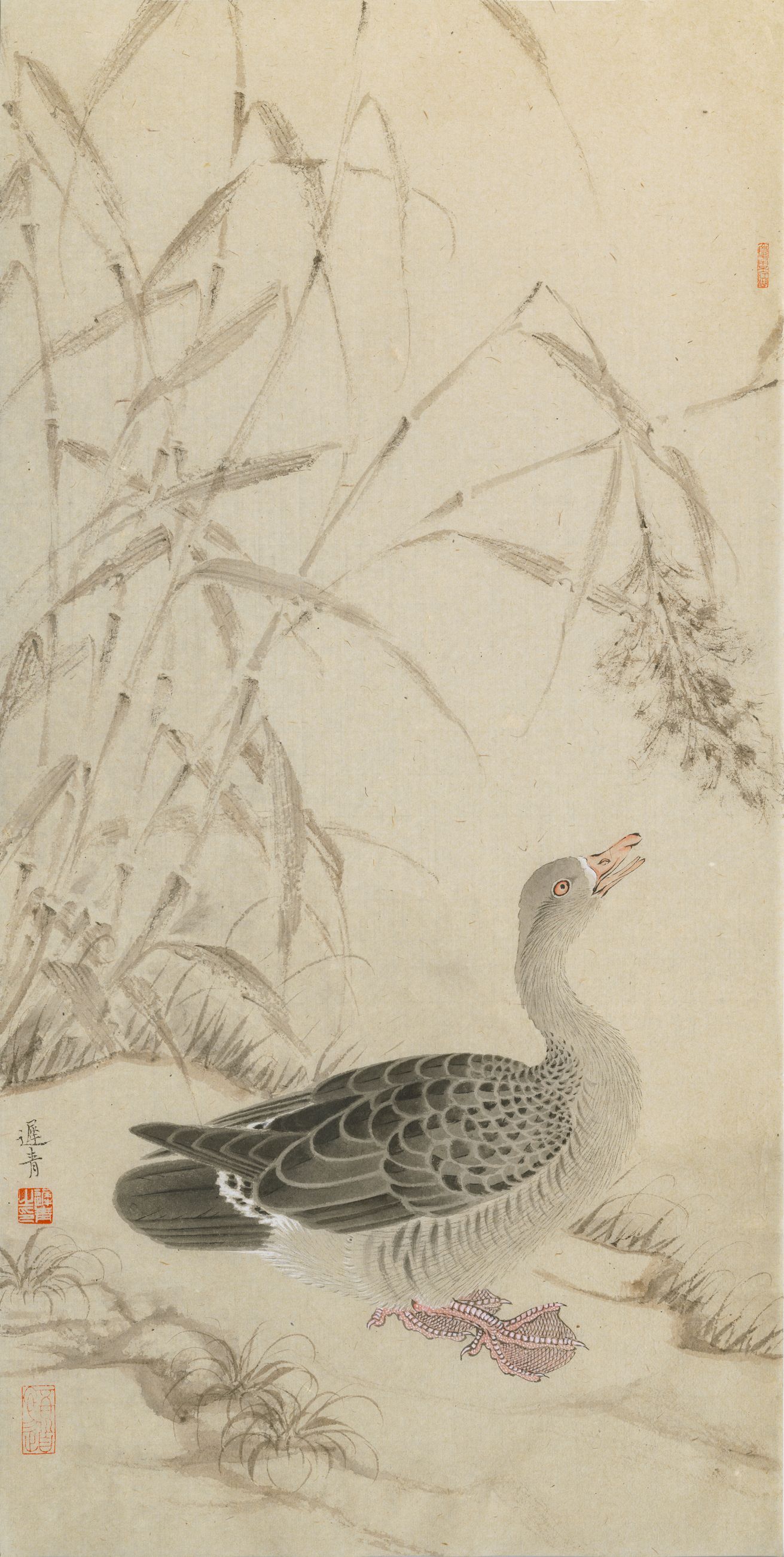 《秋浦孤鸿》缩略图