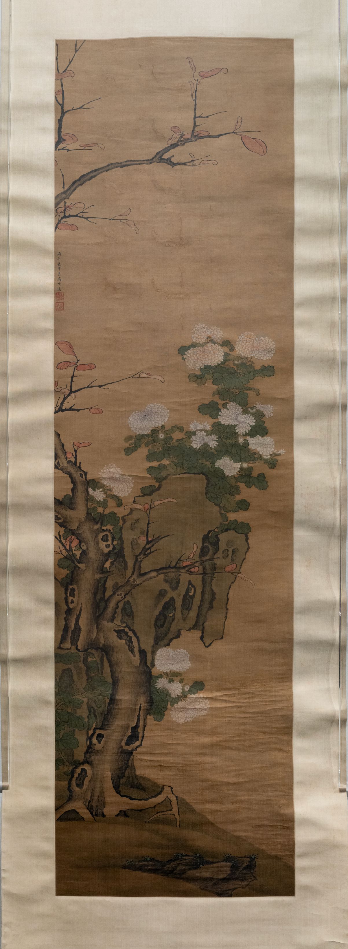 菊石图轴预览图