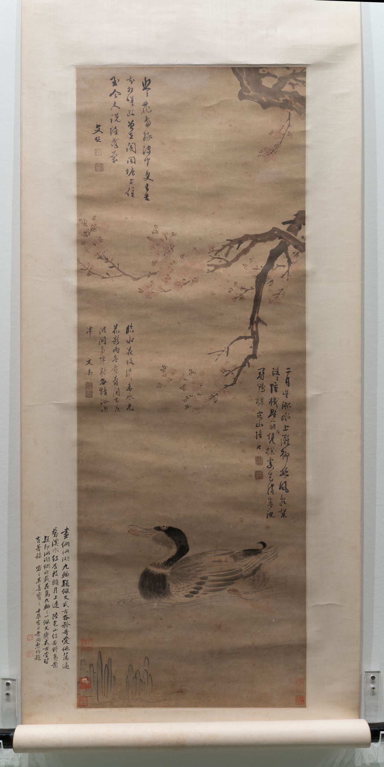 红杏野凫图缩略图