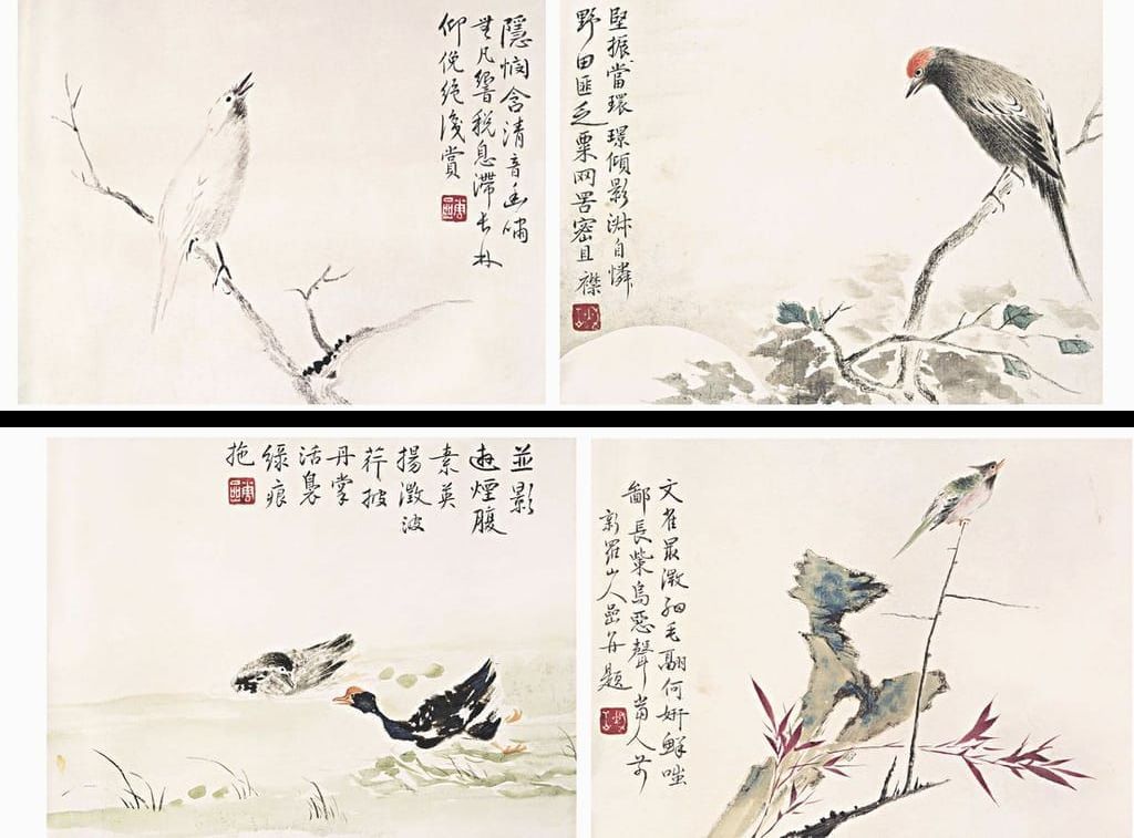 花鸟预览图