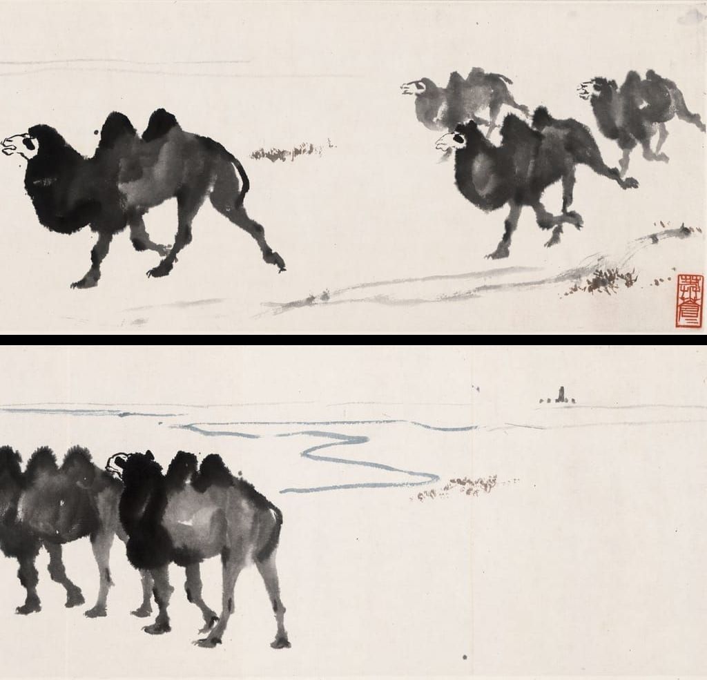 骆驼缩略图