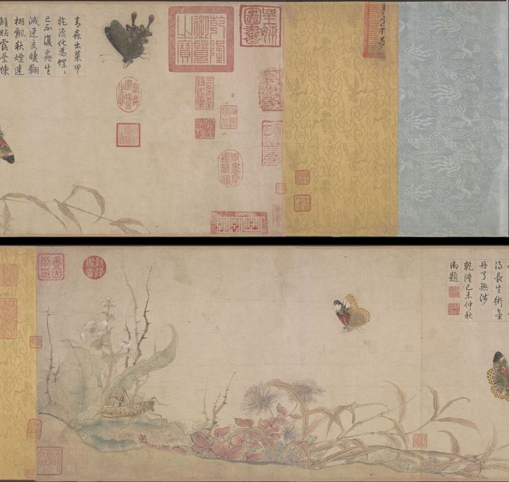 写生蛱蝶图缩略图