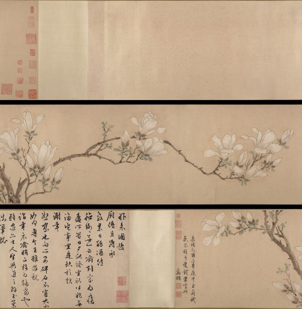 白玉兰图预览图