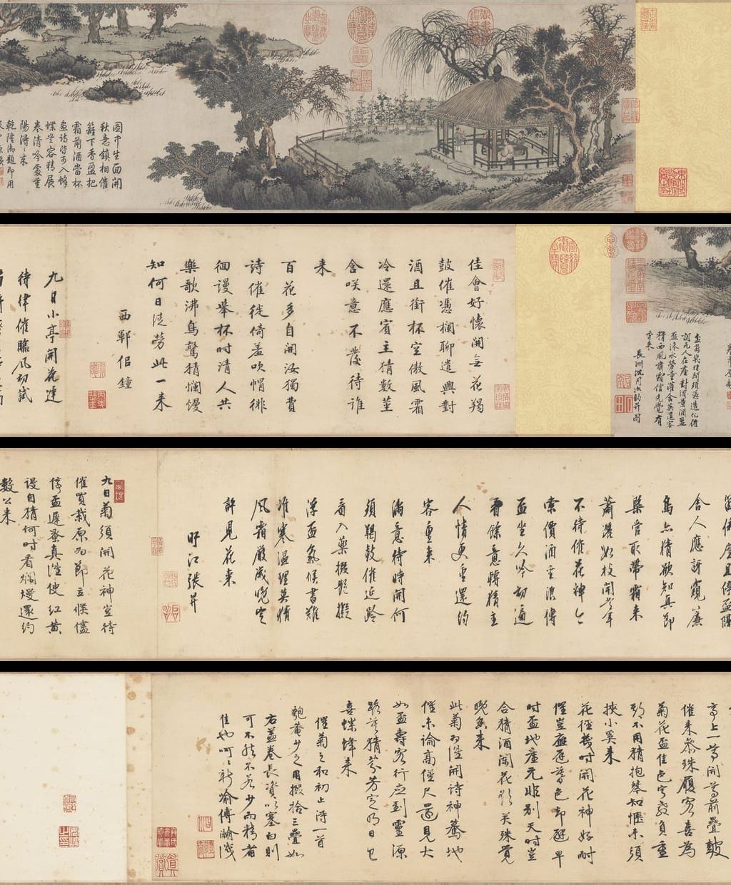 盆菊幽赏图预览图