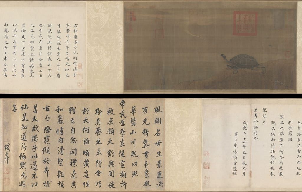 神龟图预览图