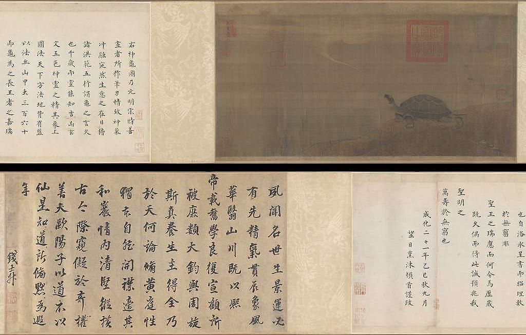 神龟图预览图