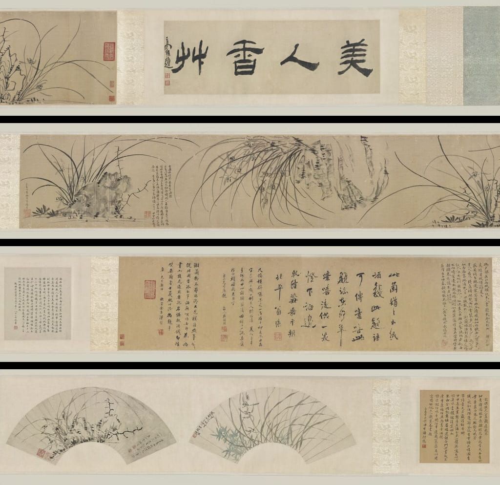 兰花图预览图
