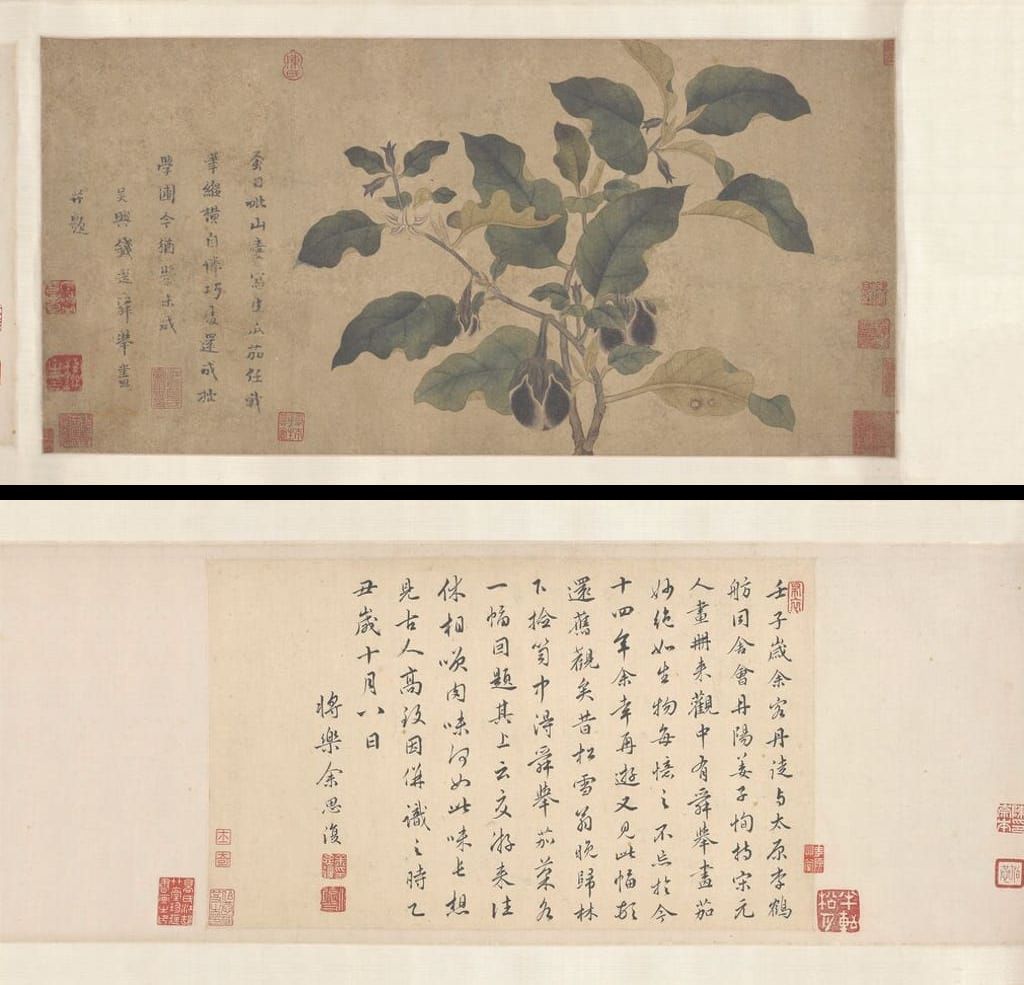 瓜茄图缩略图