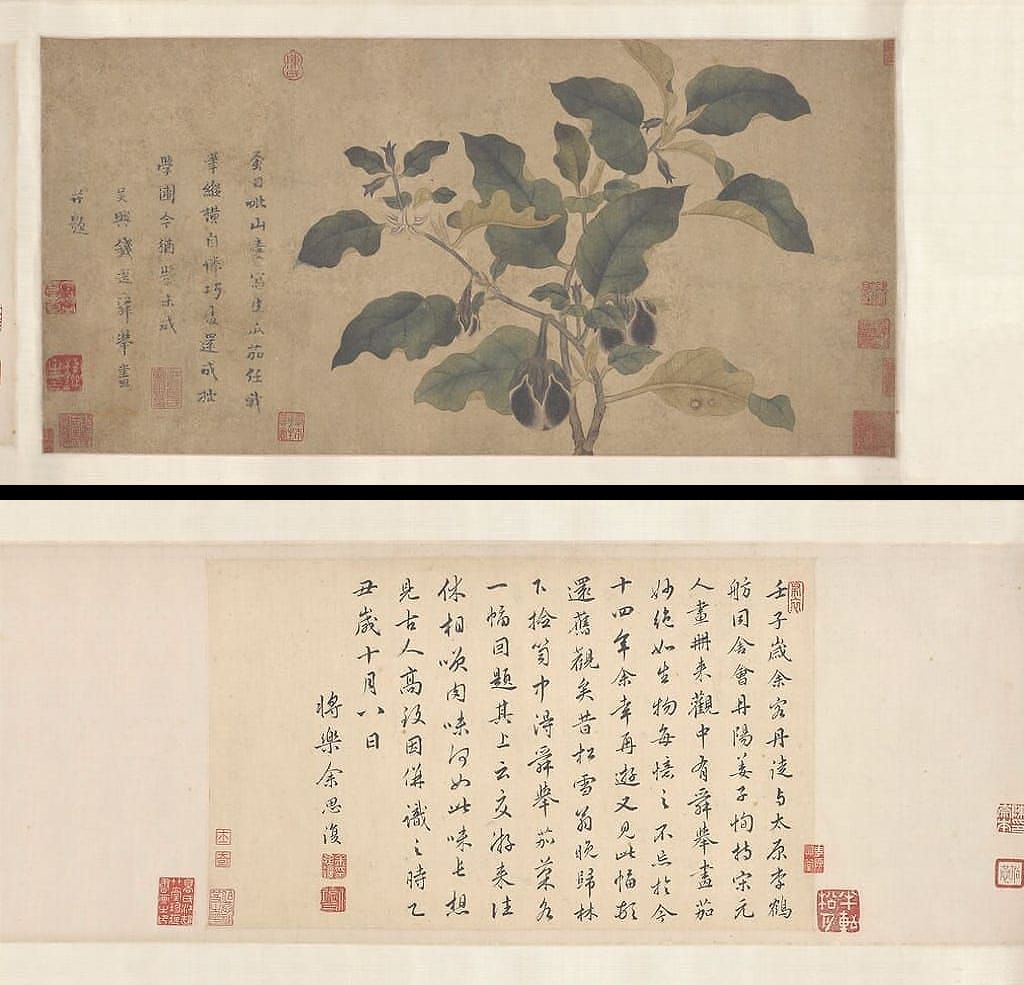 瓜茄图预览图
