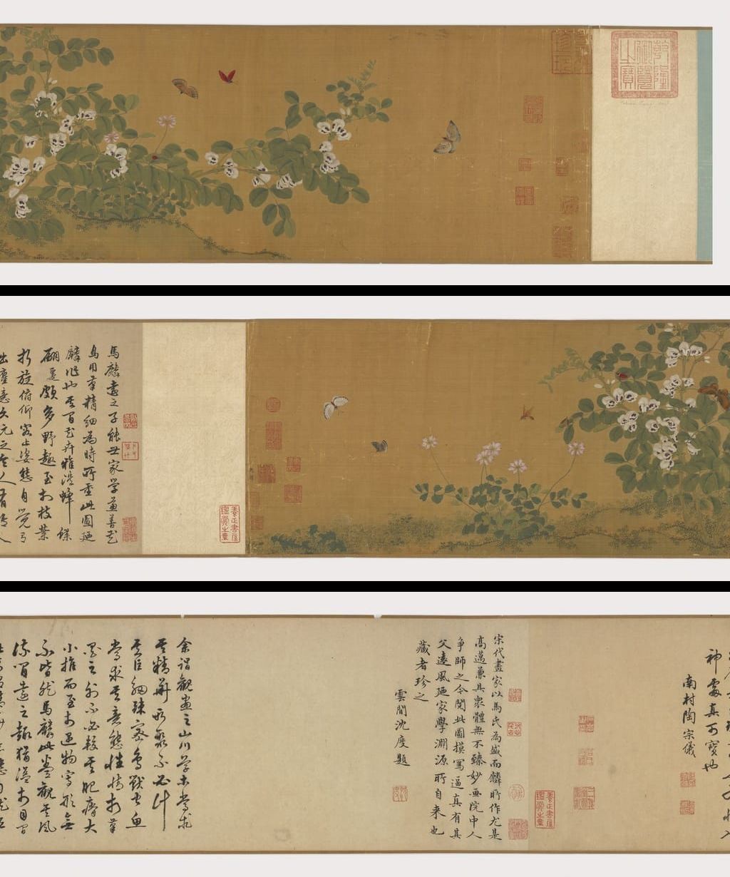 写生蝴蝶花卉图卷预览图