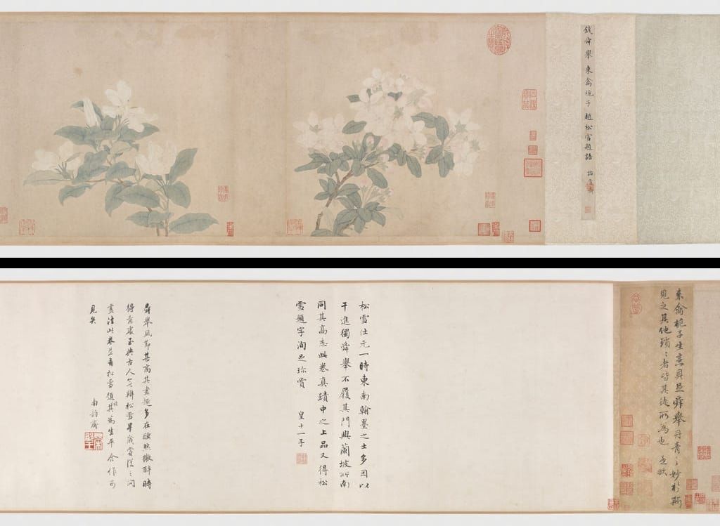 来禽栀子图预览图