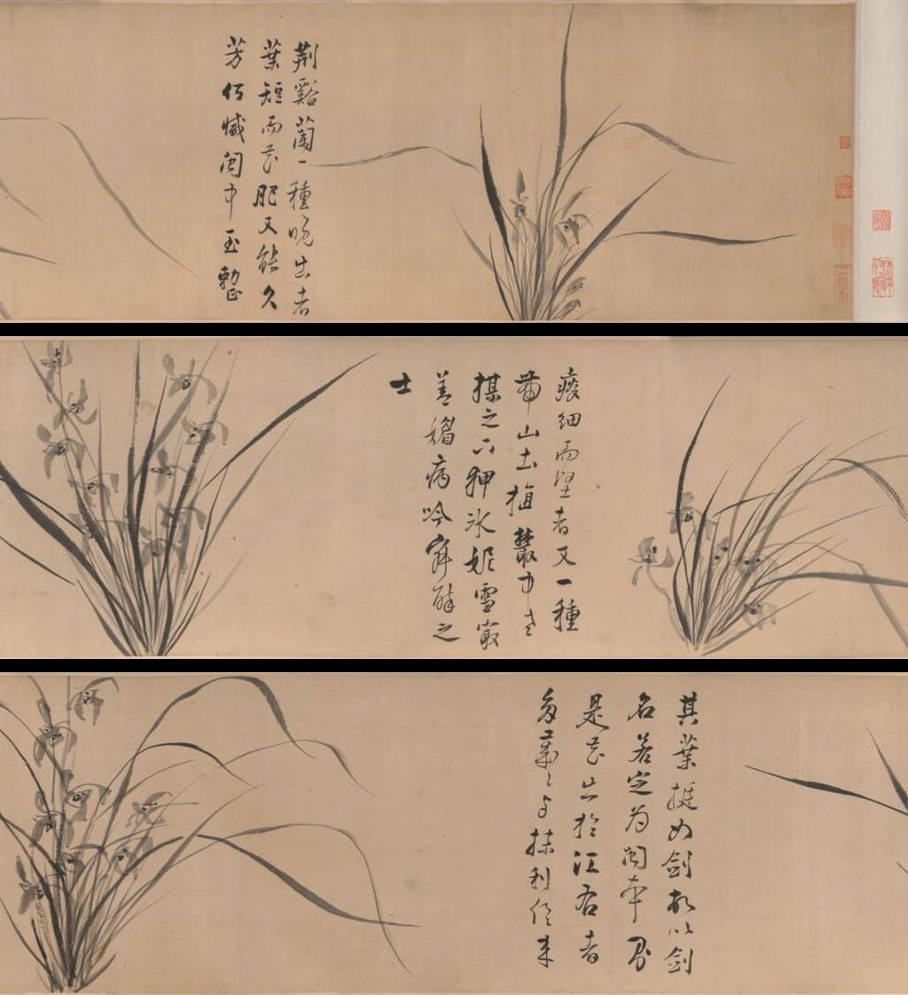 兰花图缩略图