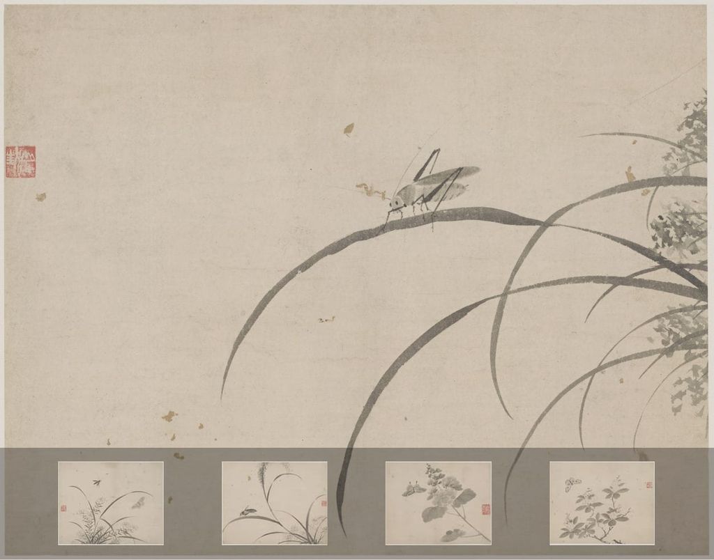 花蝶草虫册预览图