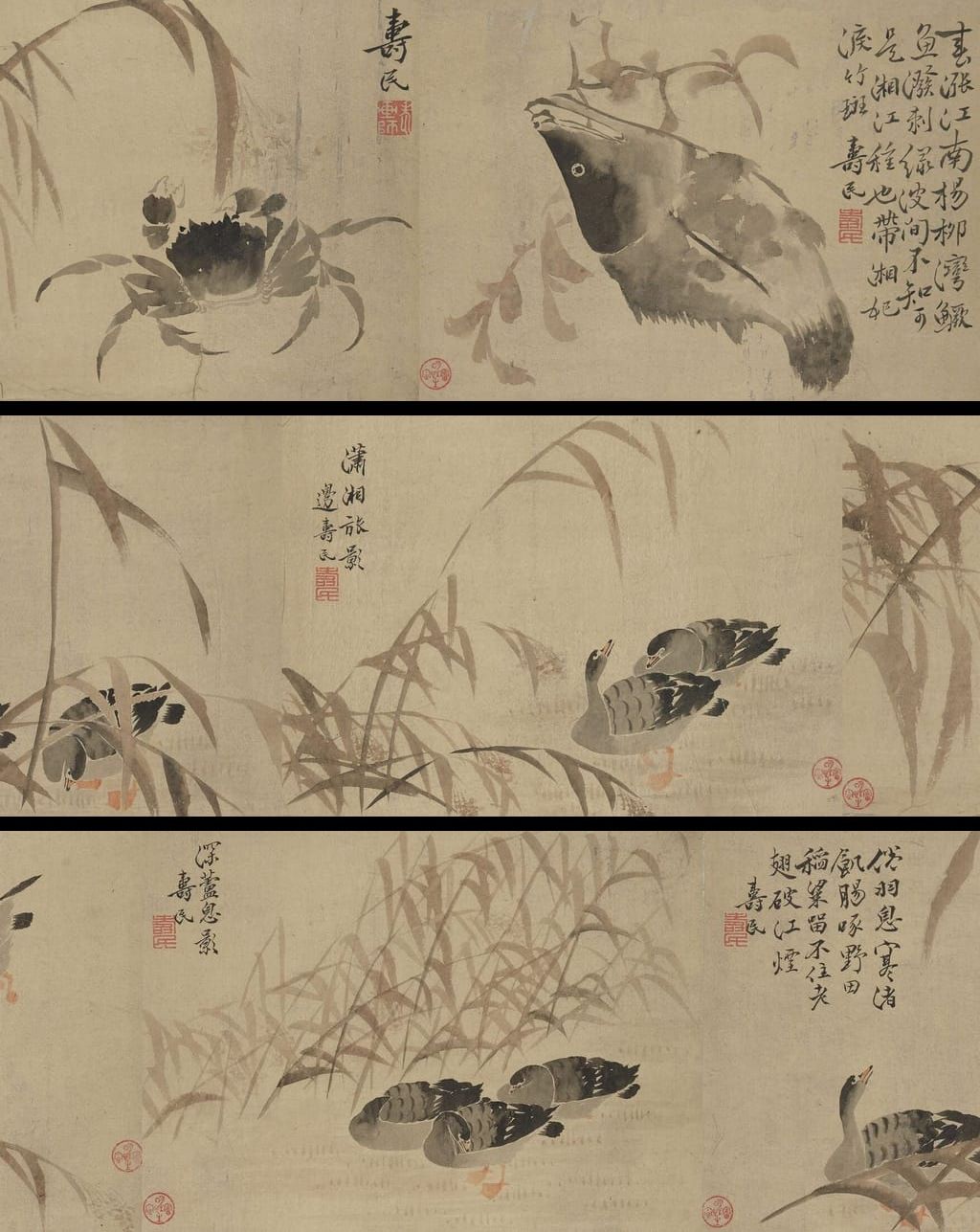 鱼蟹花草图册预览图