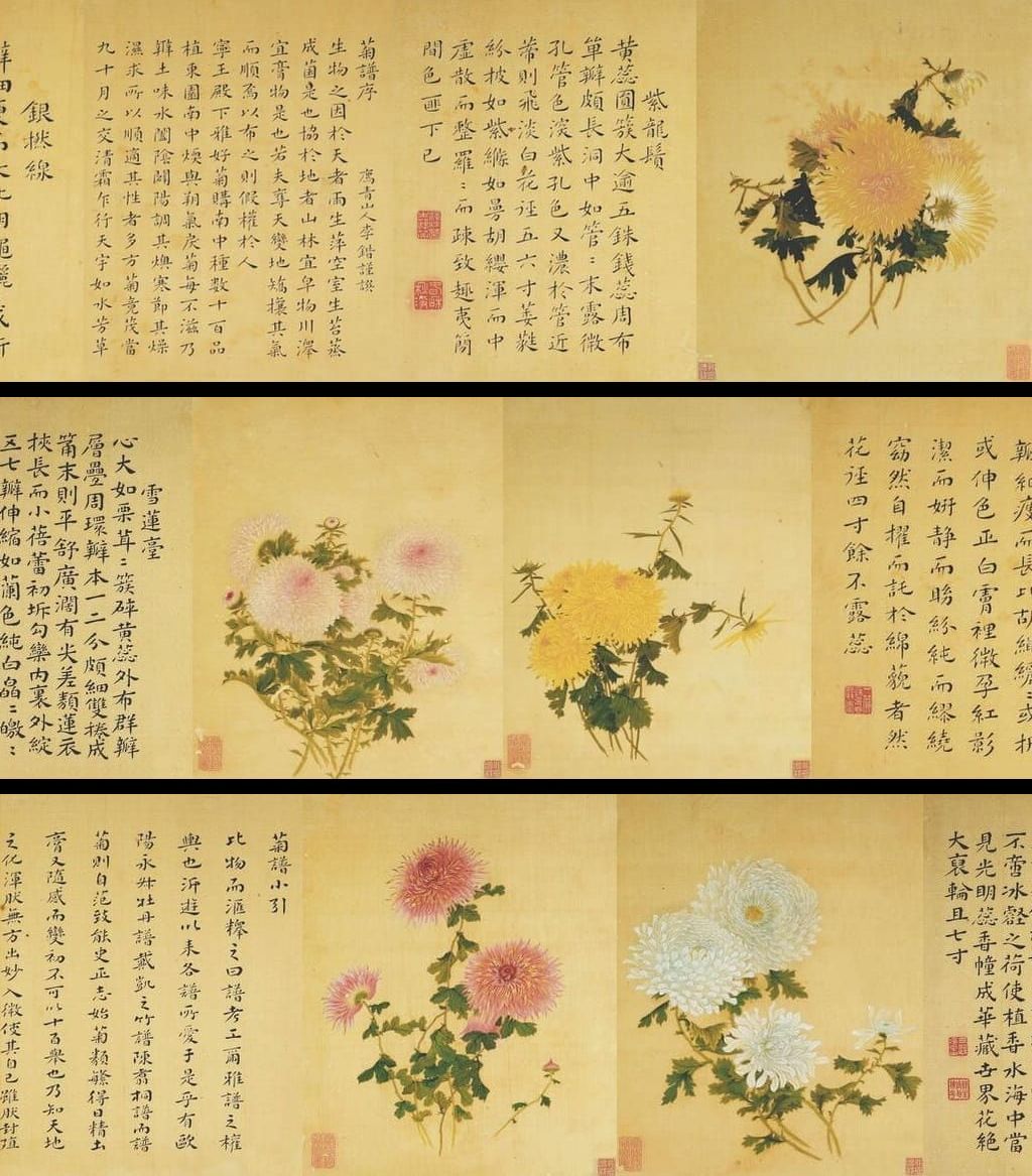 菊谱图册页预览图