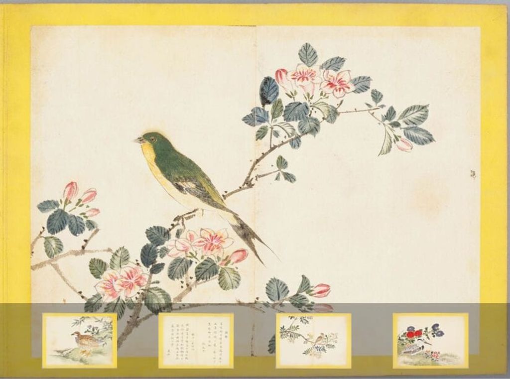 百花鸟图.清雍正时期绘本（三）预览图