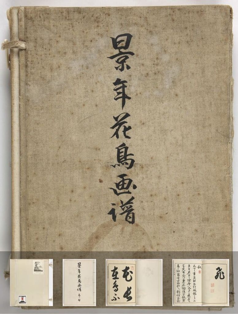 景年花鸟画谱.四卷.今尾景年绘.1892年刊本（春部）预览图