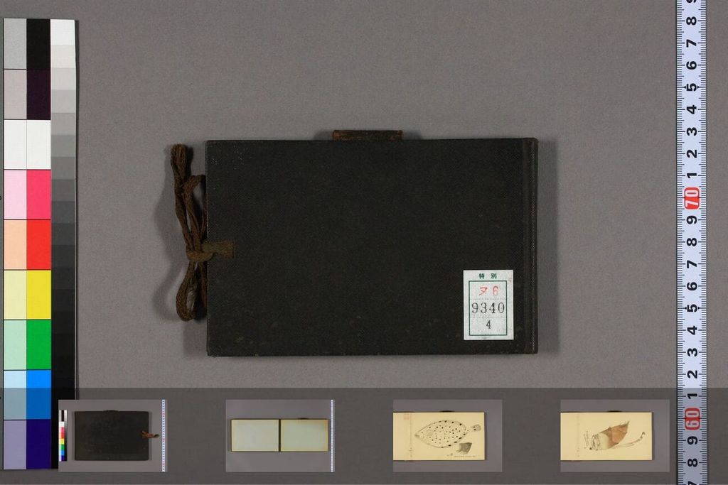 甲辰帖1-2及水彩画帖.三村竹清（四）缩略图