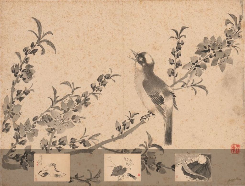 花卉图缩略图