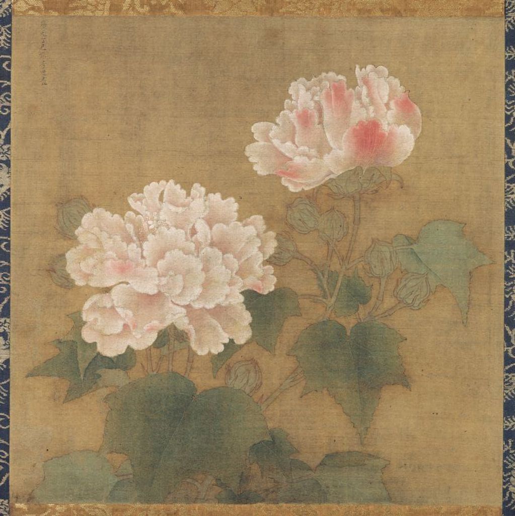 红白芙蓉图预览图