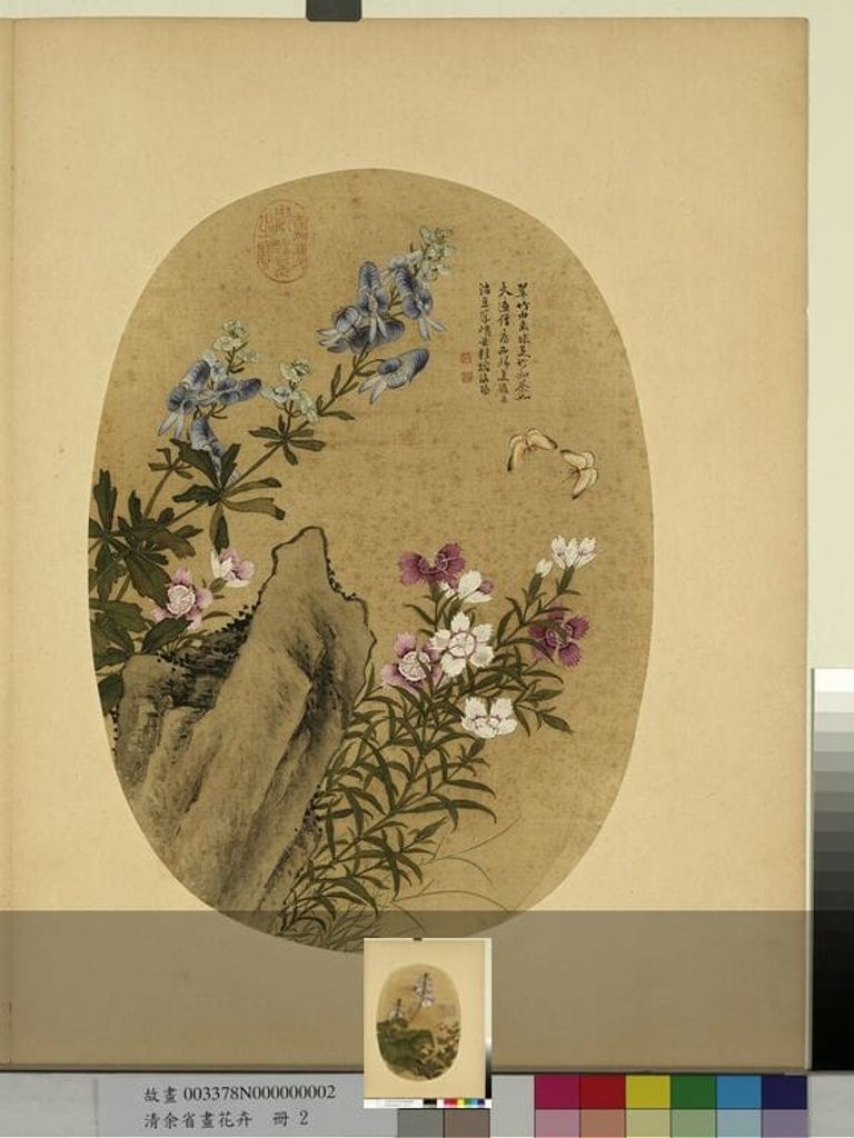花卉册 僧鞋菊石竹预览图