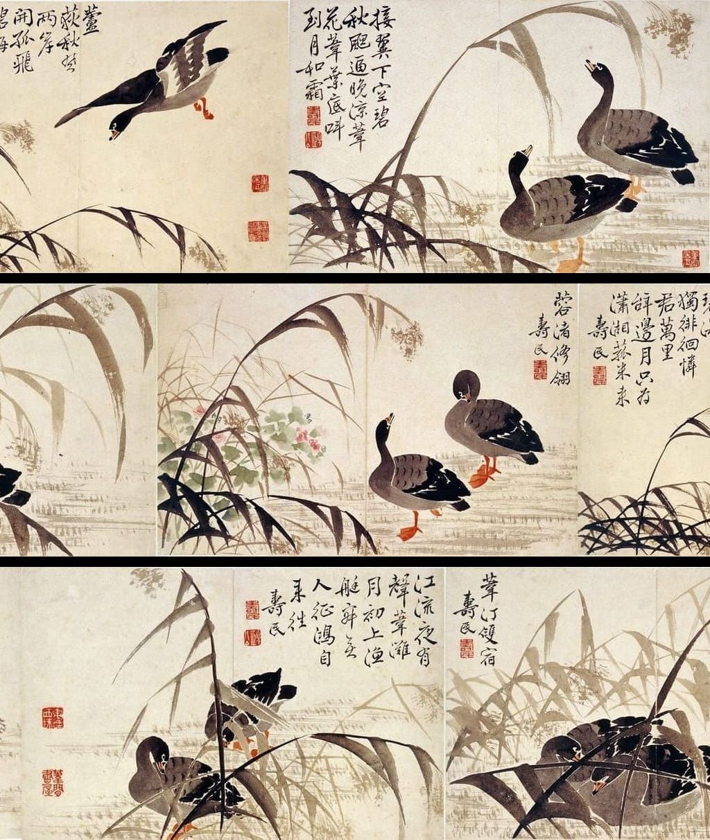 芦雁图册（八开）预览图