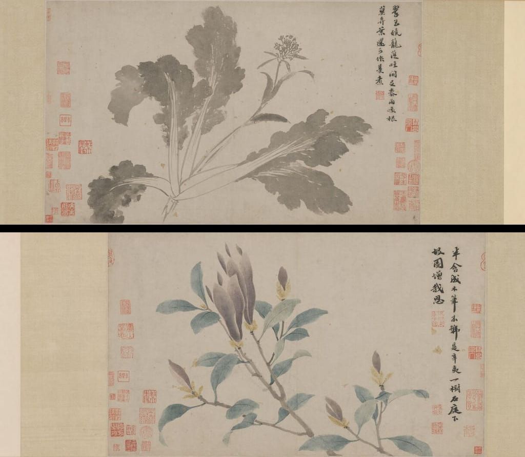 辛夷墨菜图预览图