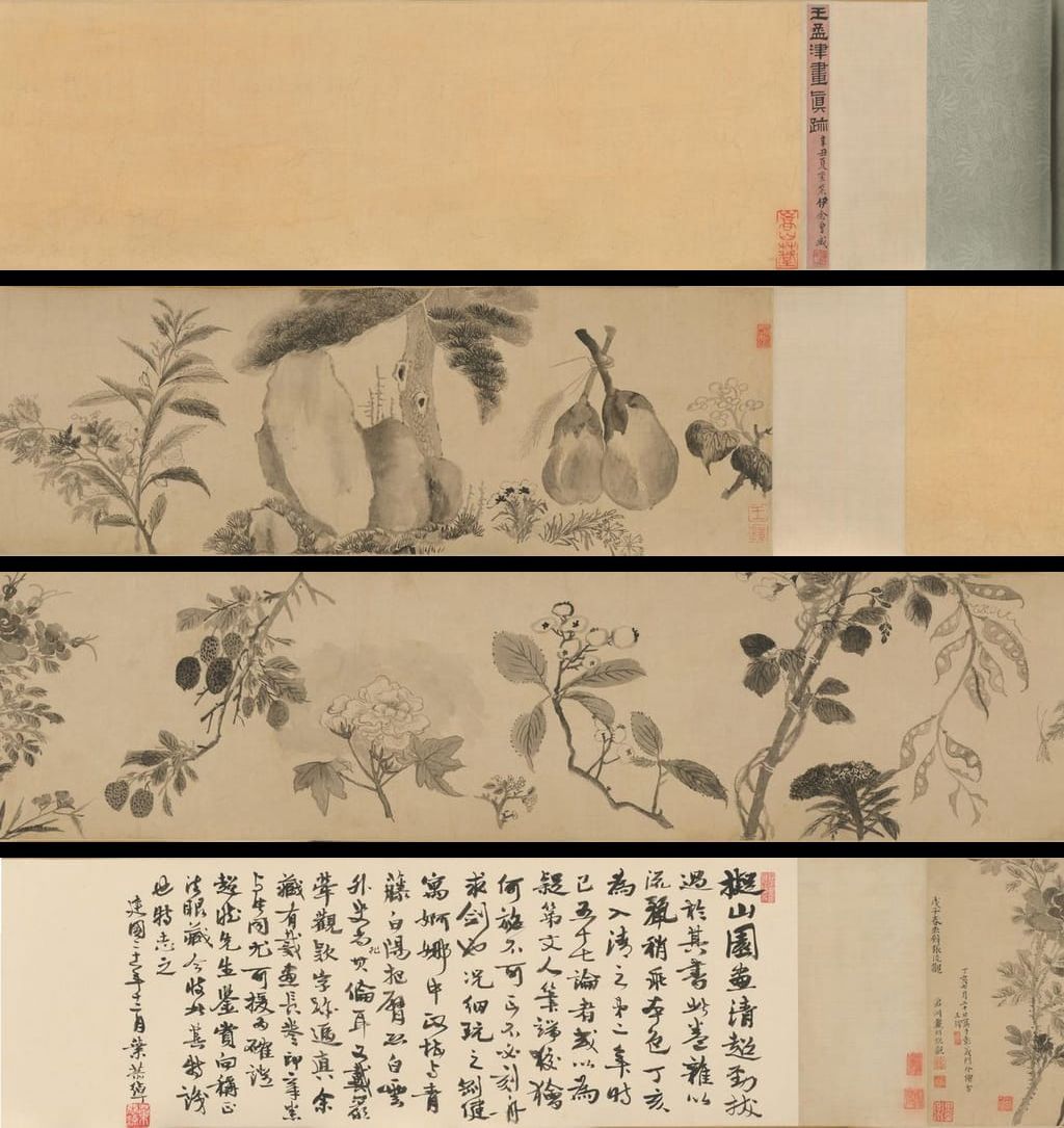 花卉卷缩略图