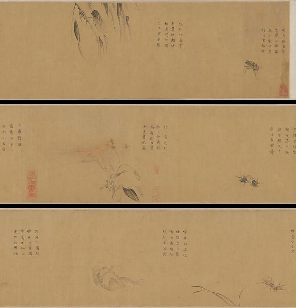 草虫卷预览图