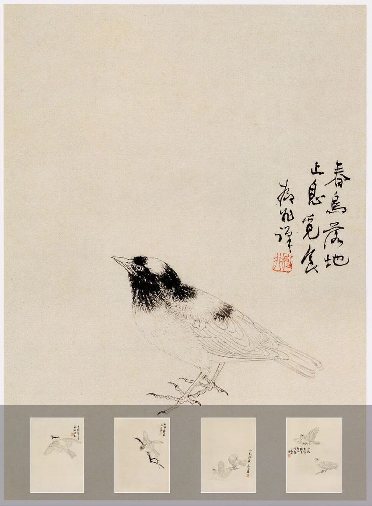 白描禽鸟课徒稿预览图
