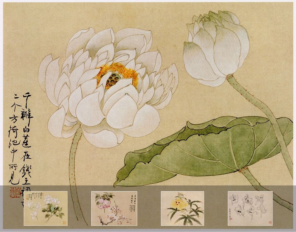 工笔花卉写生课徒稿缩略图