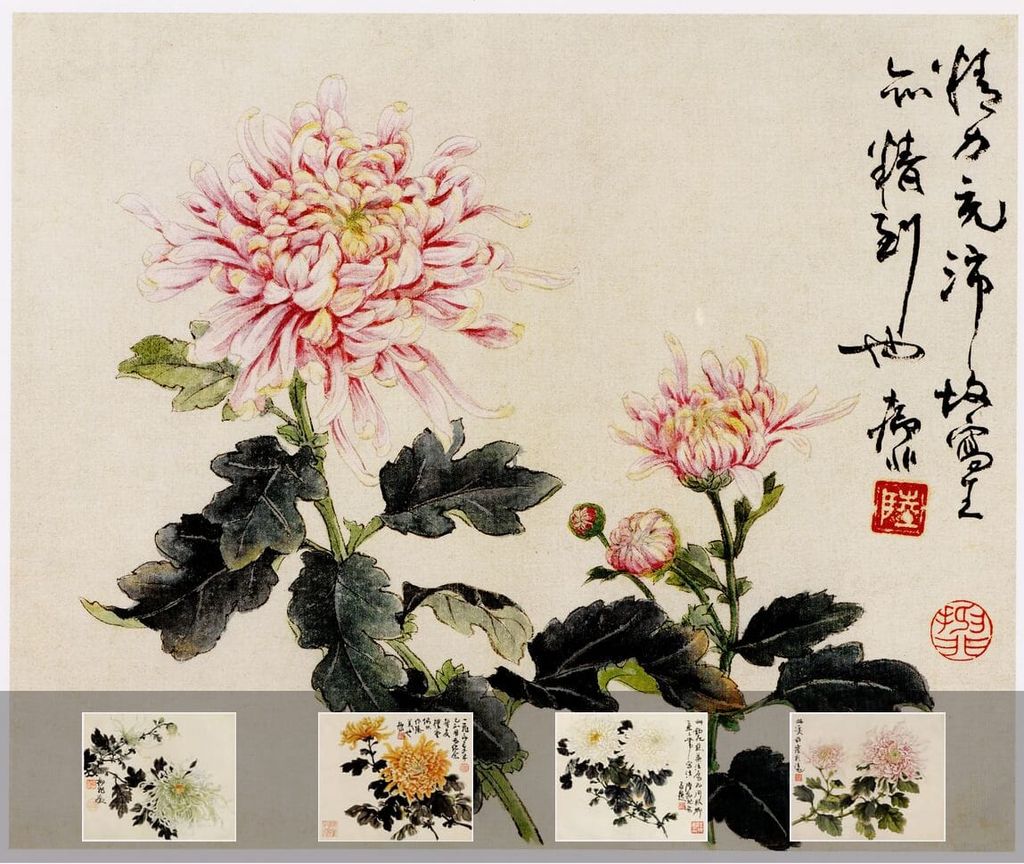 菊花课徒稿缩略图