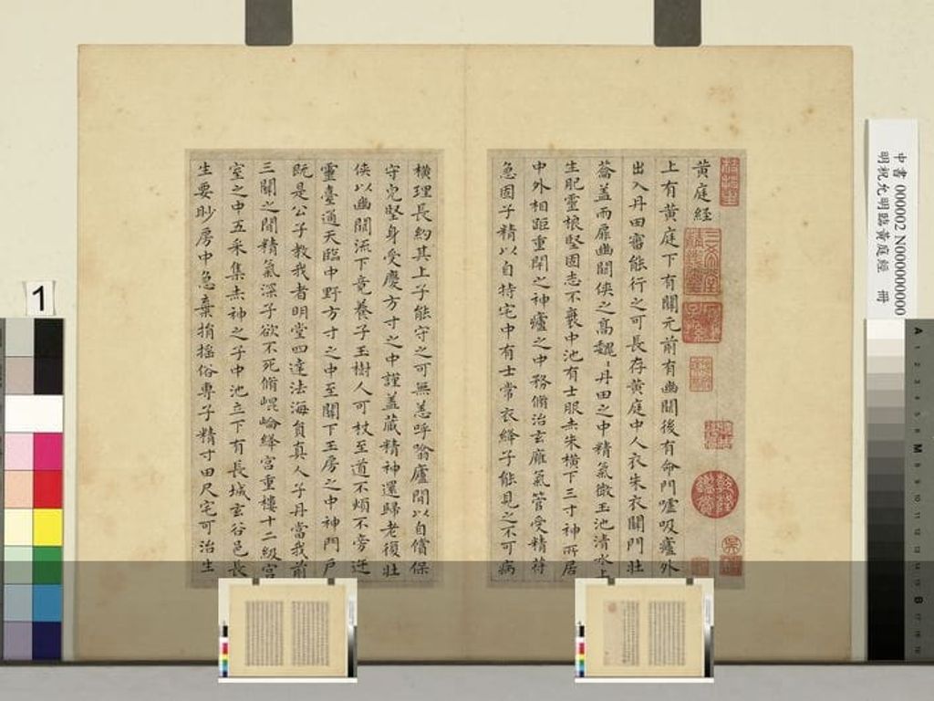 祝允临黄庭经册预览图