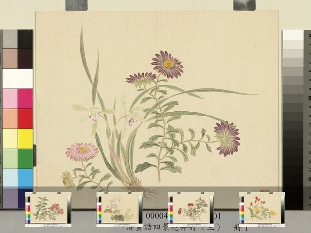 四景花卉（三）册预览图