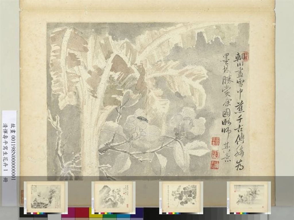写生花卉册预览图