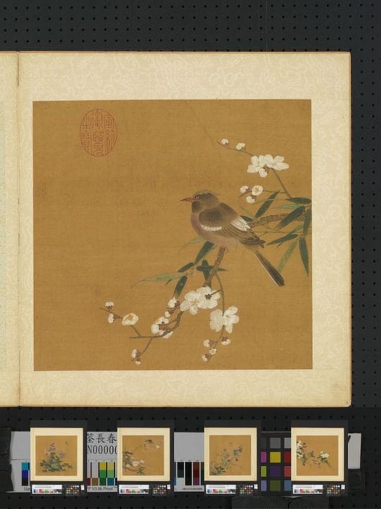 长春花鸟册缩略图