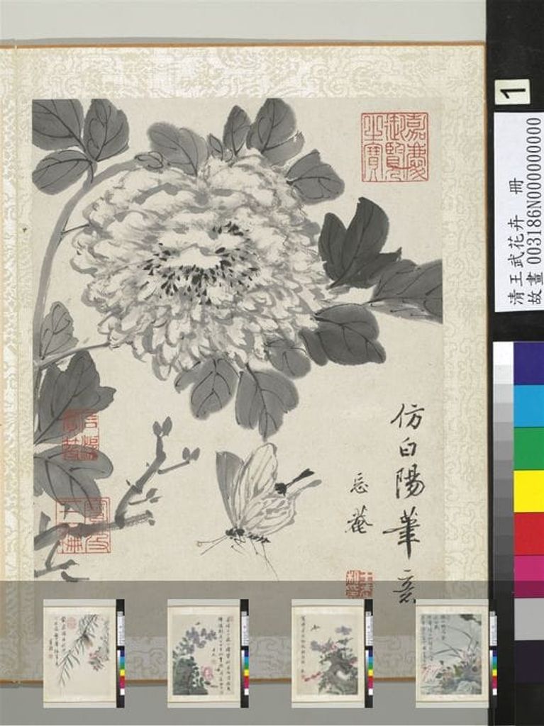 花卉册预览图