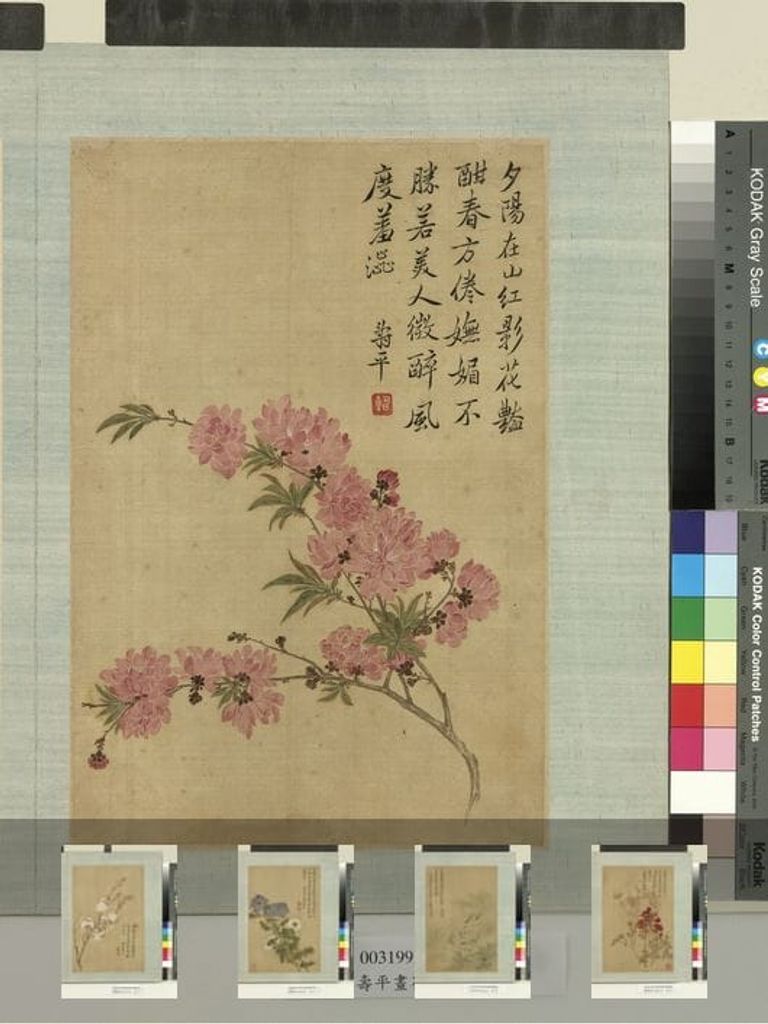 花卉册图预览图