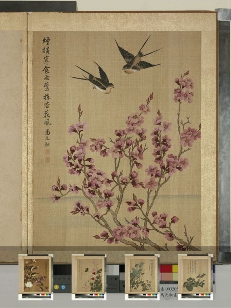 花卉图册缩略图
