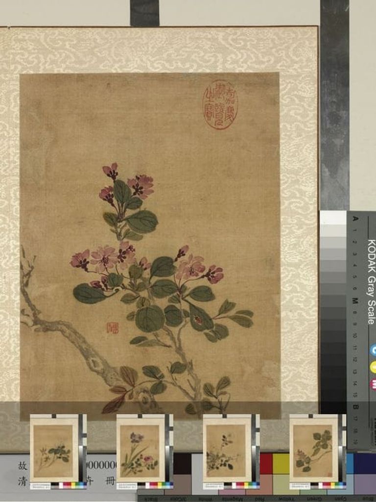 花卉图预览图