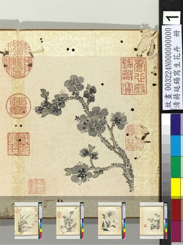 写生花卉图预览图