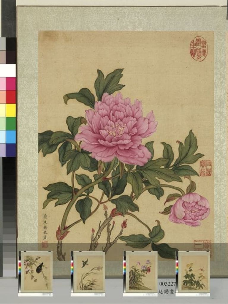 花鸟册图预览图