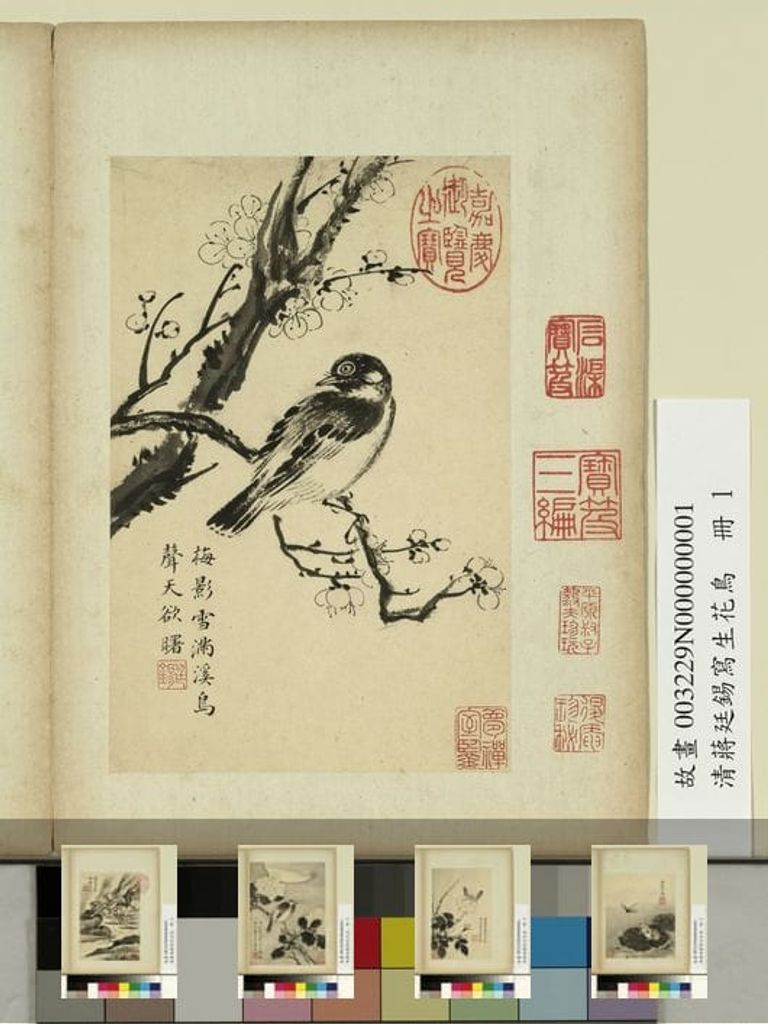 写生花鸟图预览图